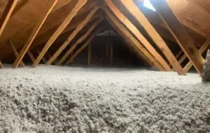 CELLULOSE INSULATION